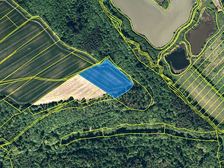 Prodej podílu 1/2 pole 7 251 m² - foto 1