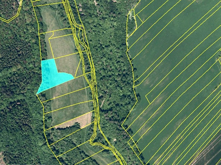 Prodej podílu 1/2 pole 7 251 m² - foto 2