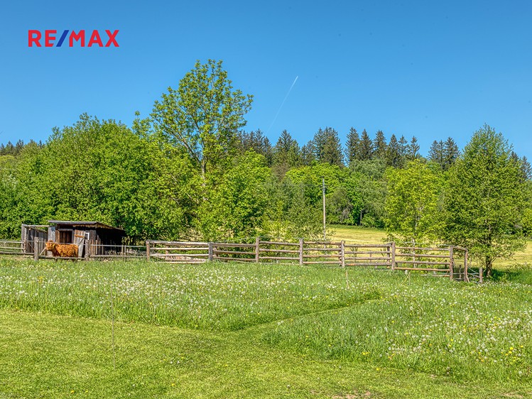 Prodej stavebního pozemku 4 000 m² - foto 4
