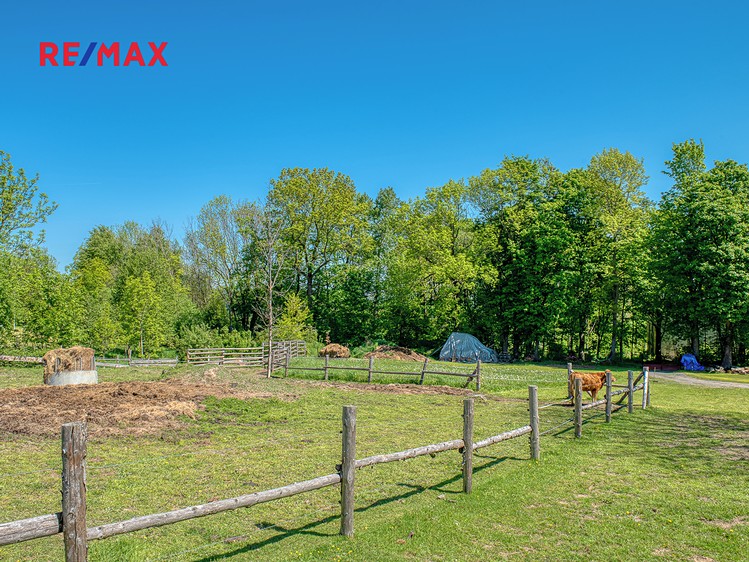 Prodej stavebního pozemku 4 000 m² - foto 8
