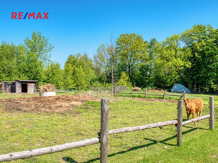 Prodej stavebního pozemku 4 000 m² - foto 7