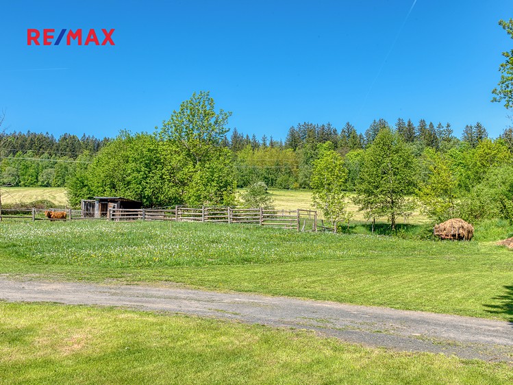 Prodej stavebního pozemku 4 000 m² - foto 5