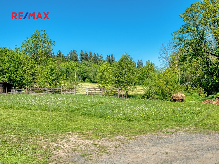 Prodej stavebního pozemku 4 000 m² - foto 6