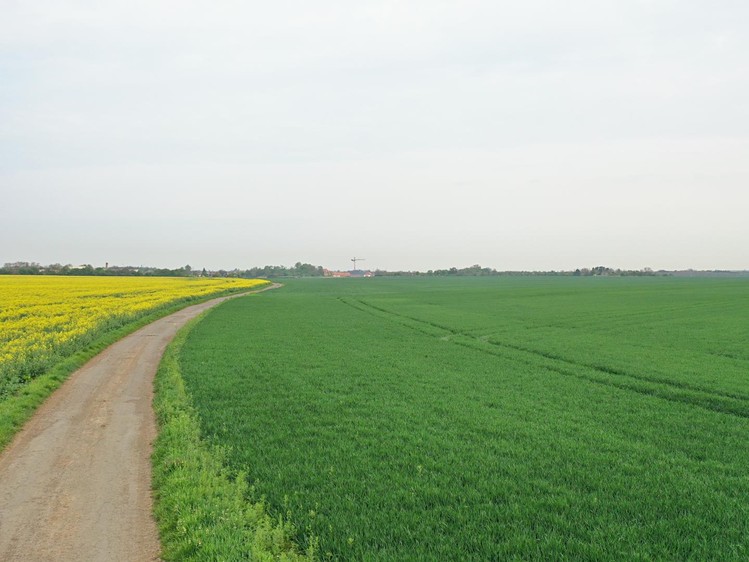 Prodej pole 5 953 m² - foto 4