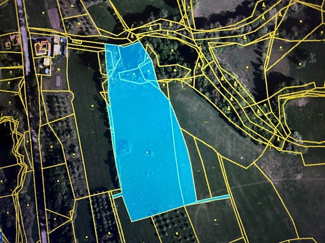 Prodej louky 17 696 m² - foto 1