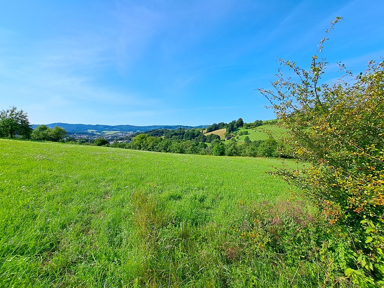 Prodej louky 17 696 m² - foto 6