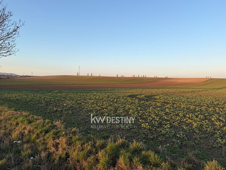 Prodej pole 26 780 m² - foto 4