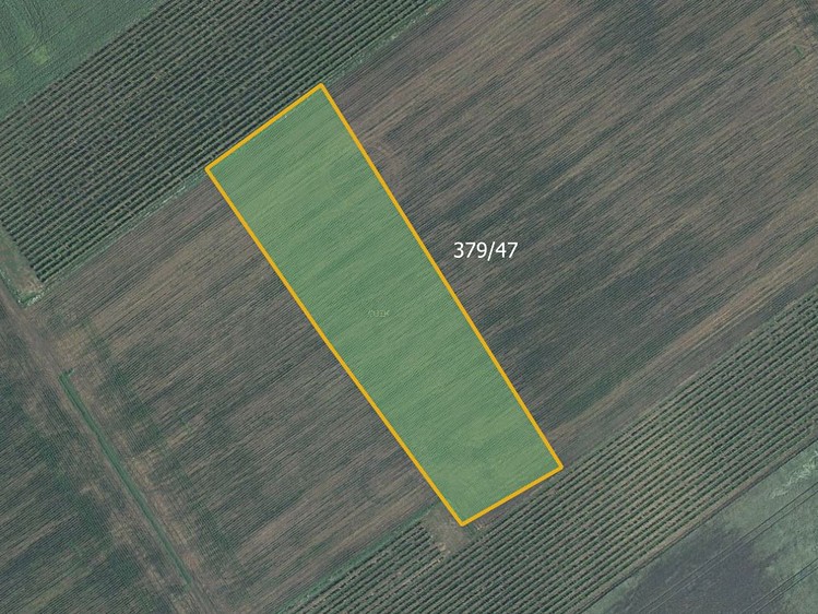 Prodej pole 24 780 m² - foto 1
