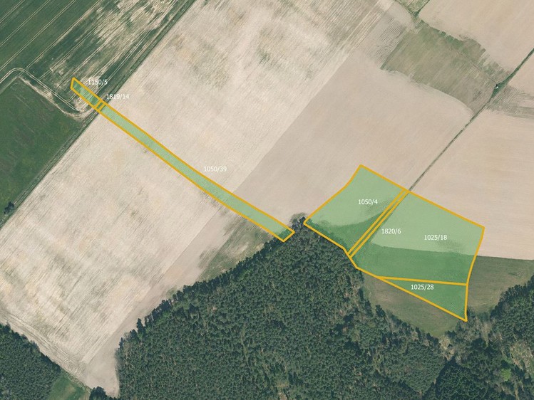 Prodej pole 52 855 m² - foto 5