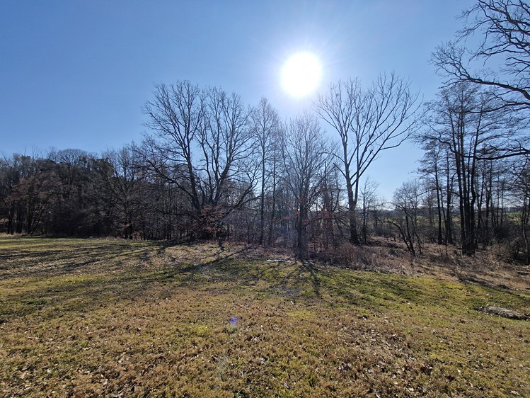 Prodej  komerčního pozemku 6 038 m² - foto 6