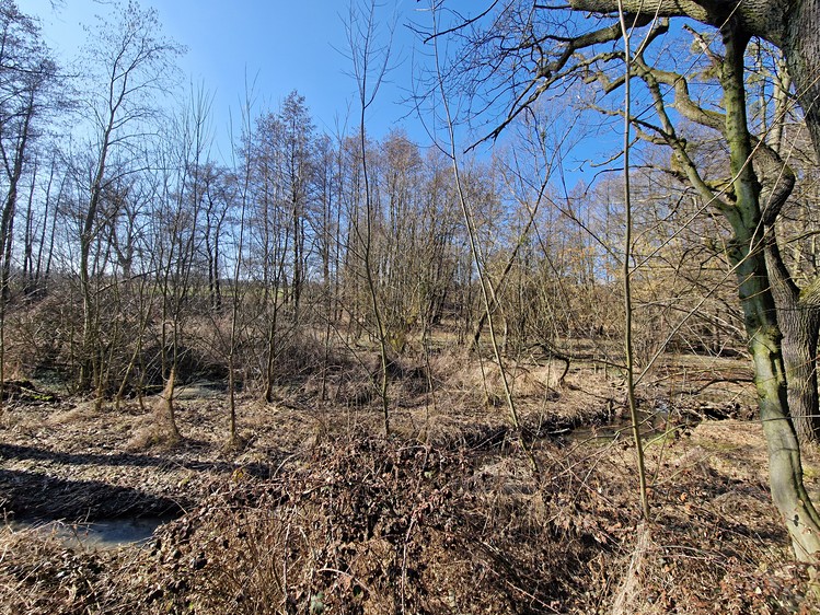 Prodej  komerčního pozemku 6 038 m² - foto 7