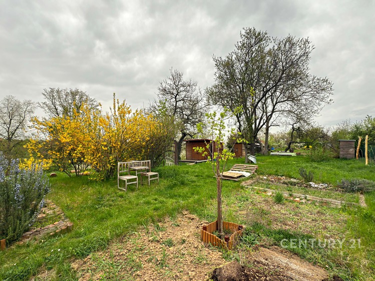 Prodej zahrady 1 278 m² - foto 6