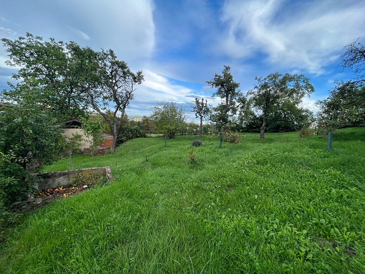 Pronájem zahrady 700 m² - foto 2
