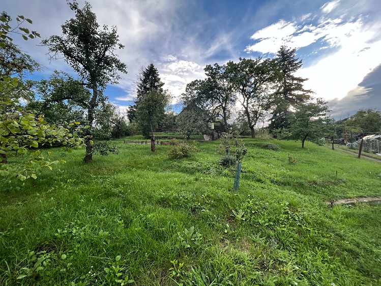 Pronájem zahrady 700 m² - foto 5