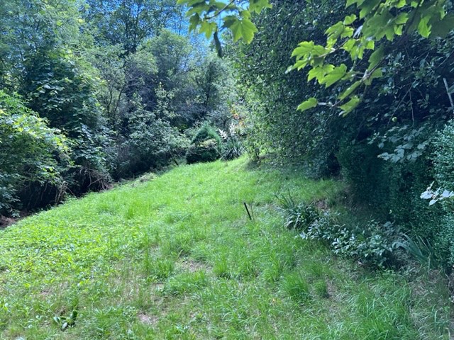 Pronájem zahrady 770 m² - foto 4