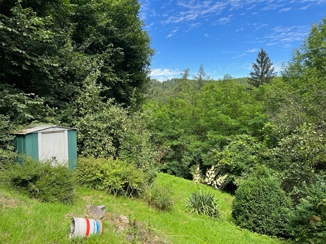 Pronájem zahrady 770 m² - foto 2