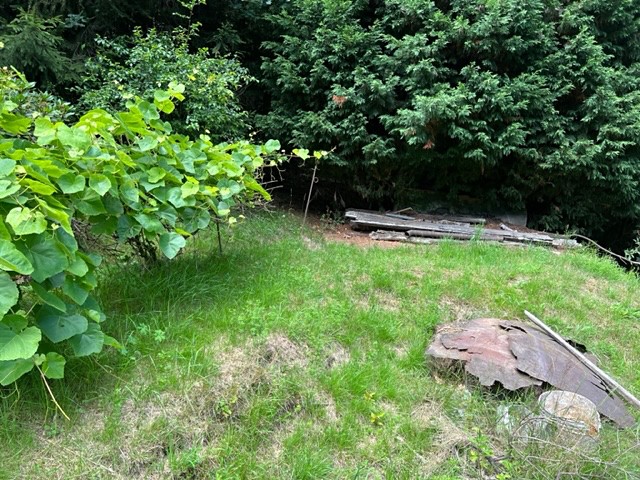 Pronájem zahrady 770 m² - foto 8