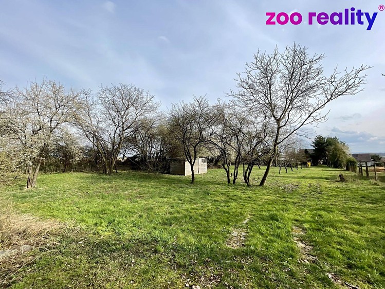 Pronájem zahrady 2 586 m² - foto 2