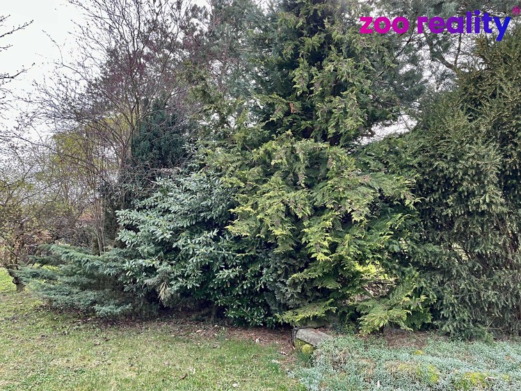 Pronájem zahrady 2 586 m² - foto 4
