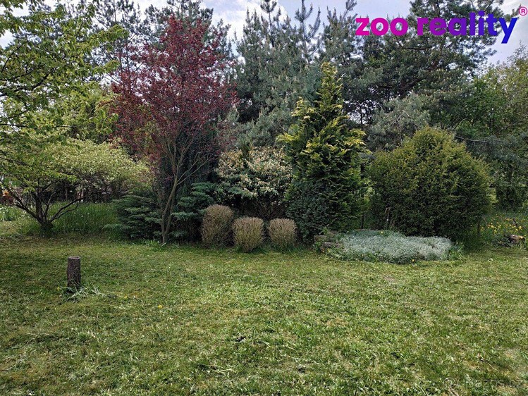 Pronájem zahrady 2 586 m² - foto 5