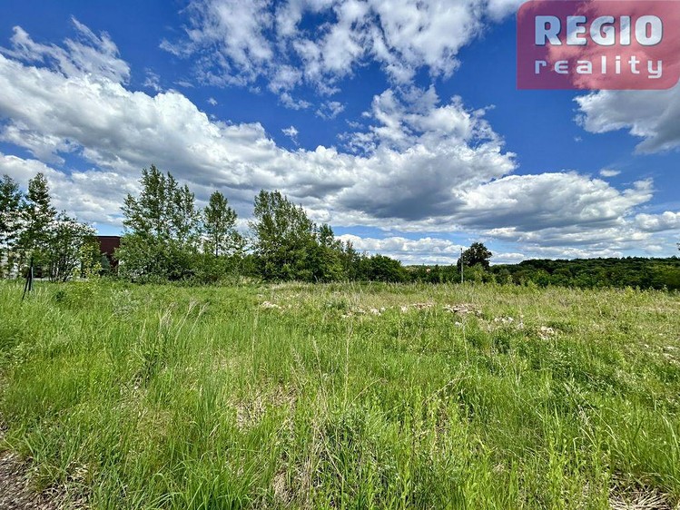 Pronájem komerčního pozemku 8 662 m² - foto 8