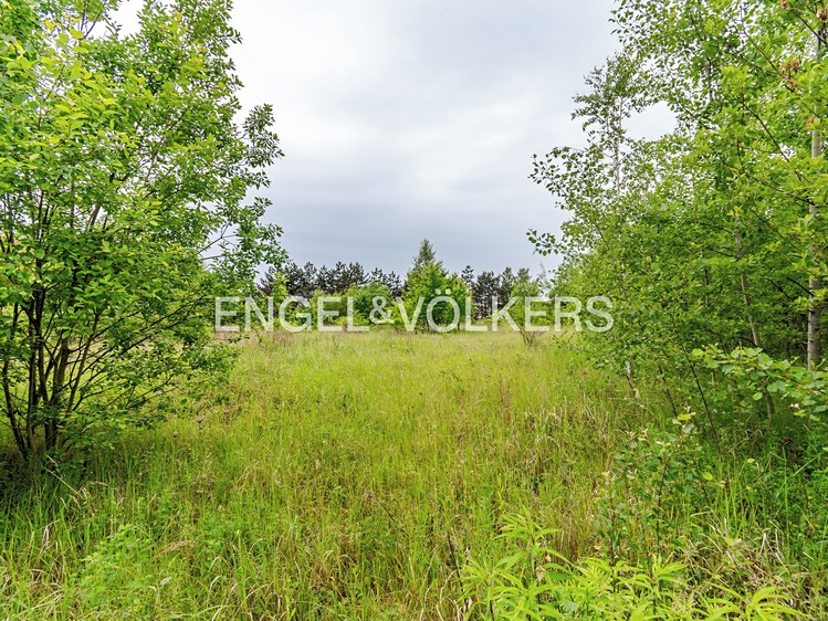 Pronájem komerčního pozemku 30 283 m² - foto 1