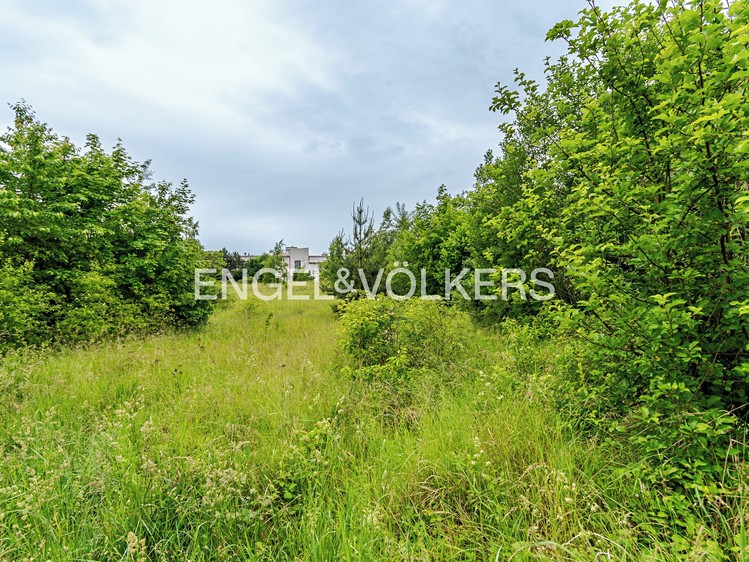 Pronájem komerčního pozemku 30 283 m² - foto 4