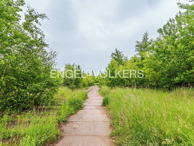 Pronájem komerčního pozemku 30 283 m² - foto 6