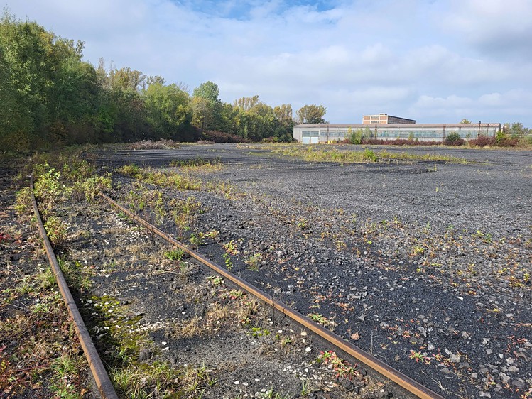 Pronájem komerčního pozemku 15 000 m² - foto 5