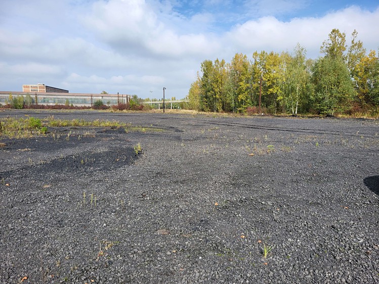 Pronájem komerčního pozemku 15 000 m² - foto 6