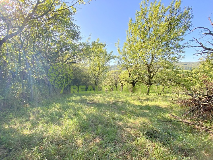 Pronájem louky 938 m² - foto 2