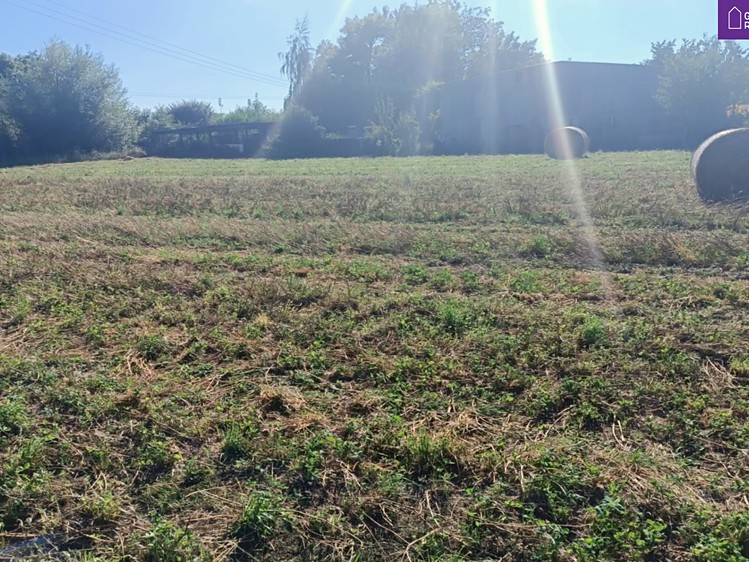 Pronájem zahrady 1 240 m² - foto 4