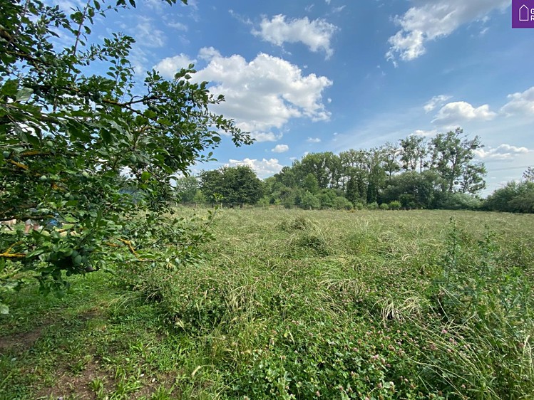 Pronájem zahrady 1 240 m² - foto 1