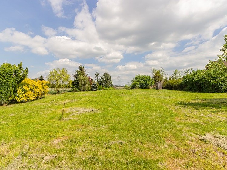 Pronájem  stavebního pozemku 10 000 m² - foto 5