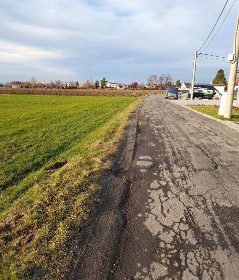 Pronájem zahrady 700 m² - foto 4