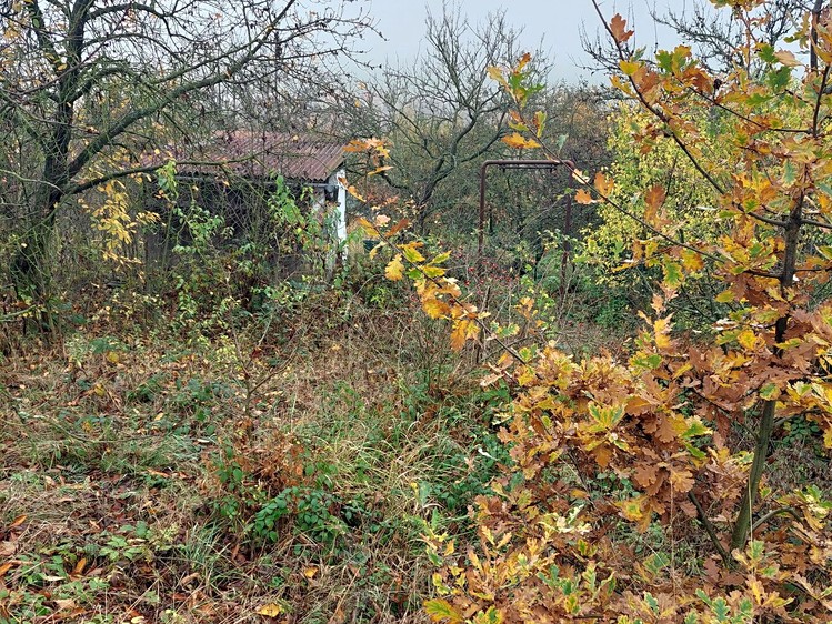 Pronájem zahrady 380 m² - foto 1