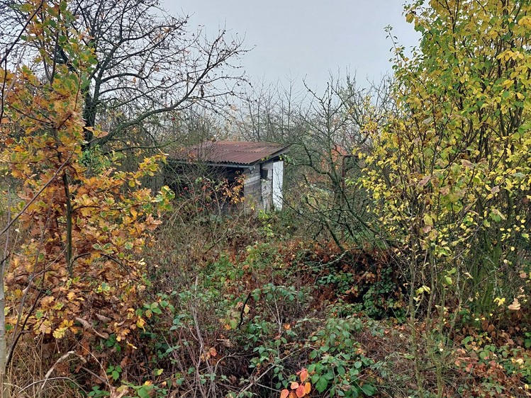 Pronájem zahrady 380 m² - foto 3