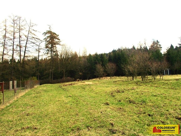 Pronájem  zahrady 2 366 m² - foto 4