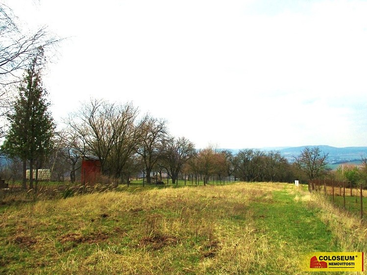 Pronájem  zahrady 2 366 m² - foto 5