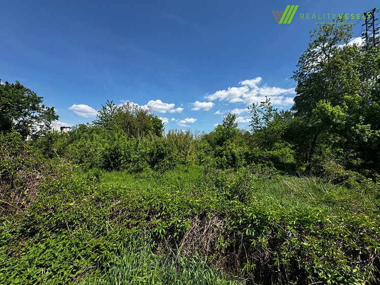Pronájem pozemku 5 059 m² - foto 2
