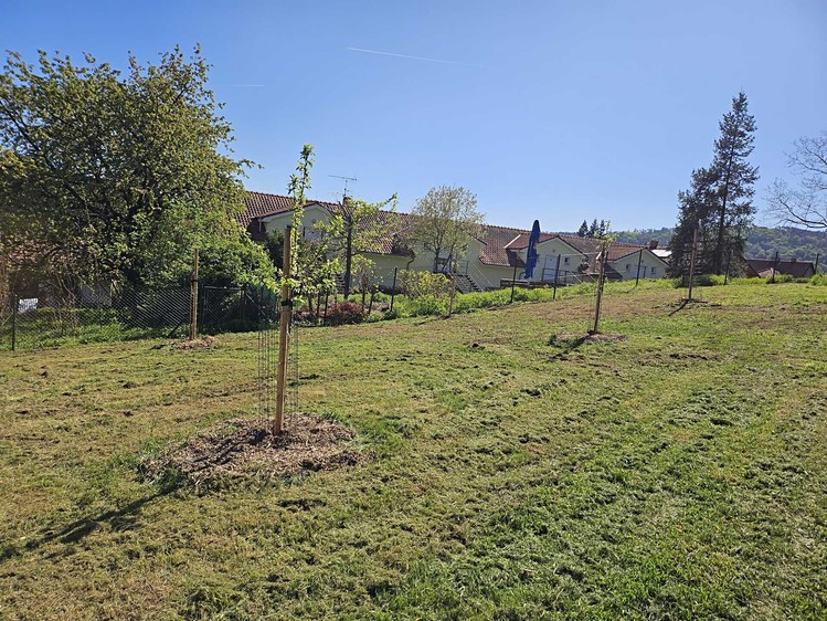 Pronájem pozemku 1 057 m² - foto 4