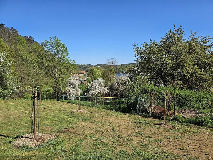 Pronájem pozemku 1 057 m² - foto 7