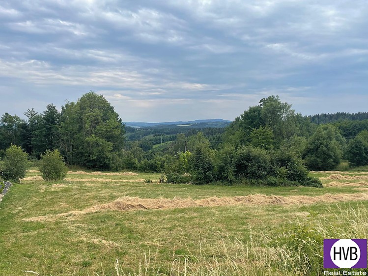 Pronájem stavebního pozemku 4 241 m² - foto 3