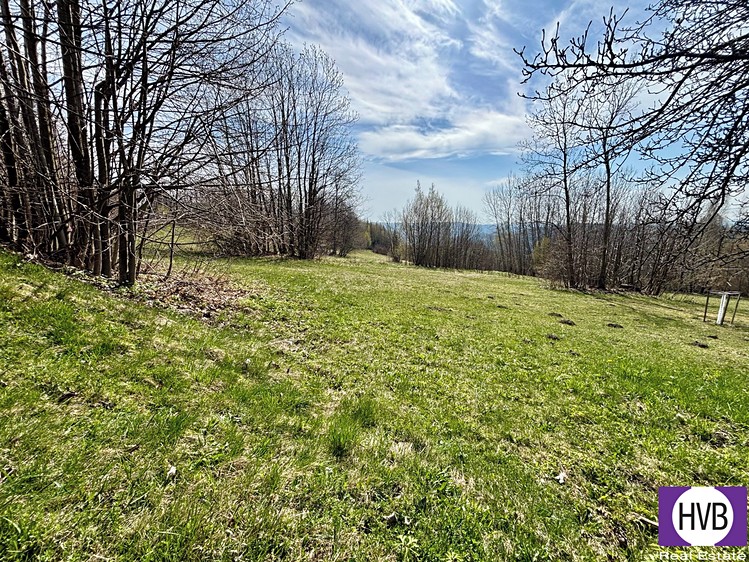 Pronájem stavebního pozemku 4 241 m² - foto 5