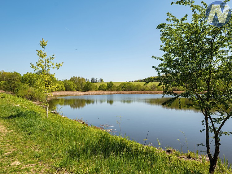 Pronájem louky 1 256 m² - foto 3