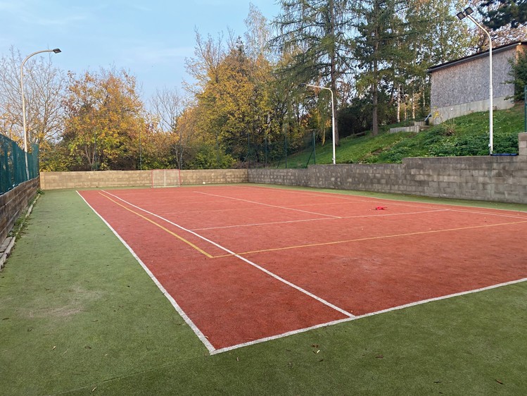 Pronájem pozemku 770 m² - foto 1