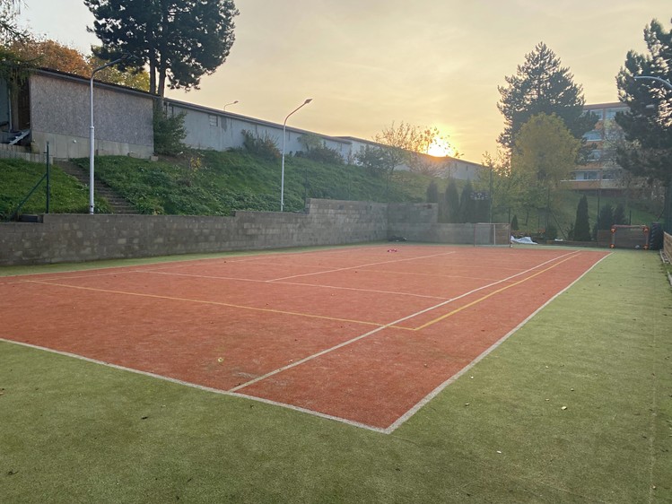 Pronájem pozemku 770 m² - foto 7