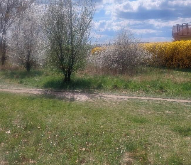 Pronájem zahrady 407 m² - foto 3
