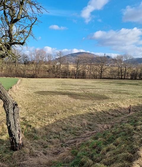 Pronájem zahrady 800 m² - foto 3