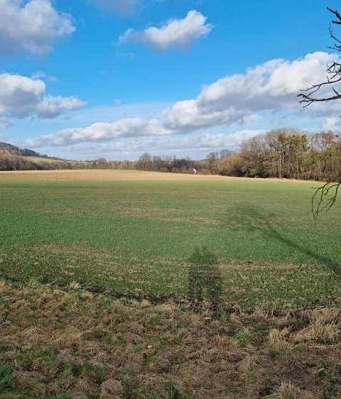 Pronájem zahrady 800 m² - foto 2